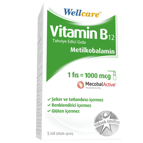 Wellcare Vitamin B12 1000 Mcg Spray 5 ML