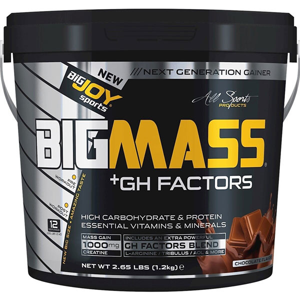 Bigjoy Sports BIGMASS Gainer GH FACTORS 1200 GR Аминокислоты со вкусом шоколада